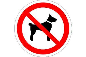 Р14 Запрещается вход (проход) с животными (наклейка)